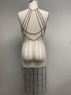 Chrome Pulse Harness