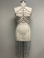 Chrome Pulse Harness